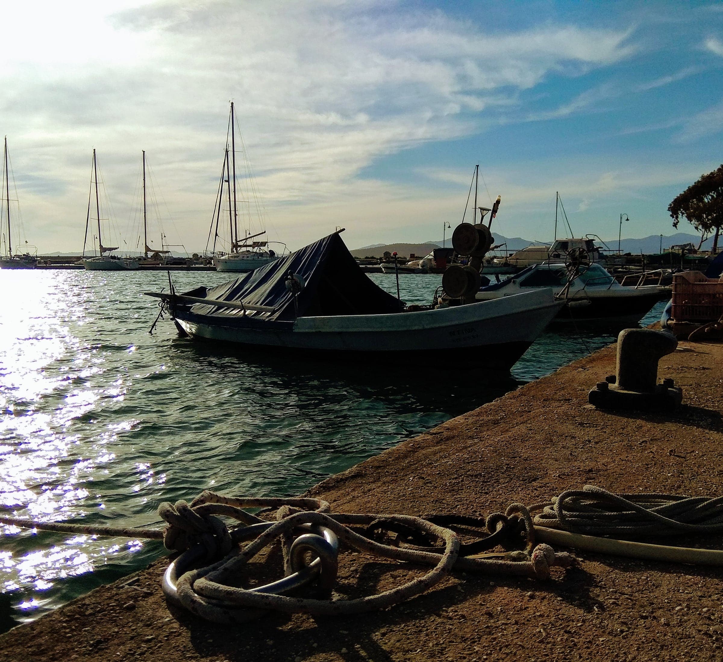 The harbour